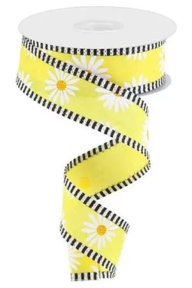 1.5" Daisy Stripe Royal Ribbon: Yellow (10 Yards)