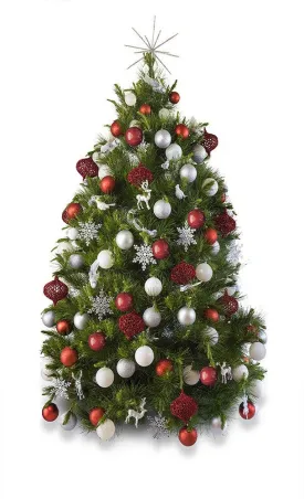 'Noel' real decorated Christmas Tree - Hire