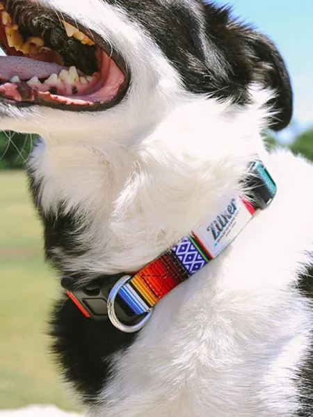 The Eco Friendly Dog Collar